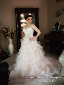 Josh & Dee at George George Memorial Park Clinton Twp MI wedding photography