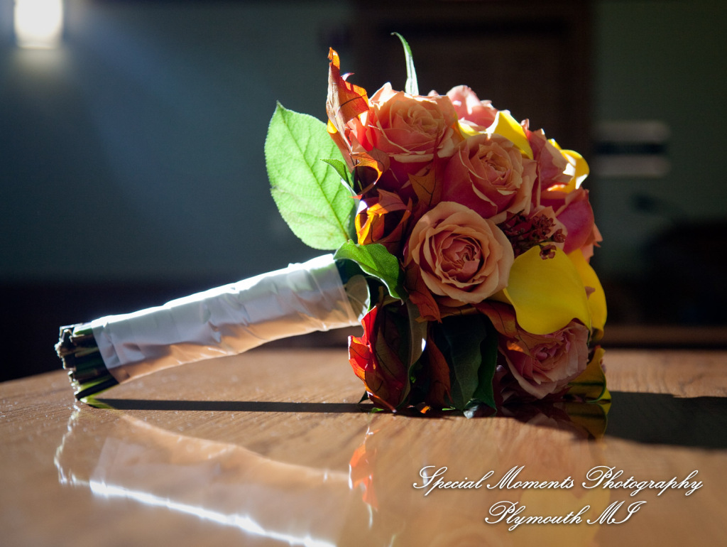 Jessica & Mike at 35th District Court Plymouth MI wedding photography