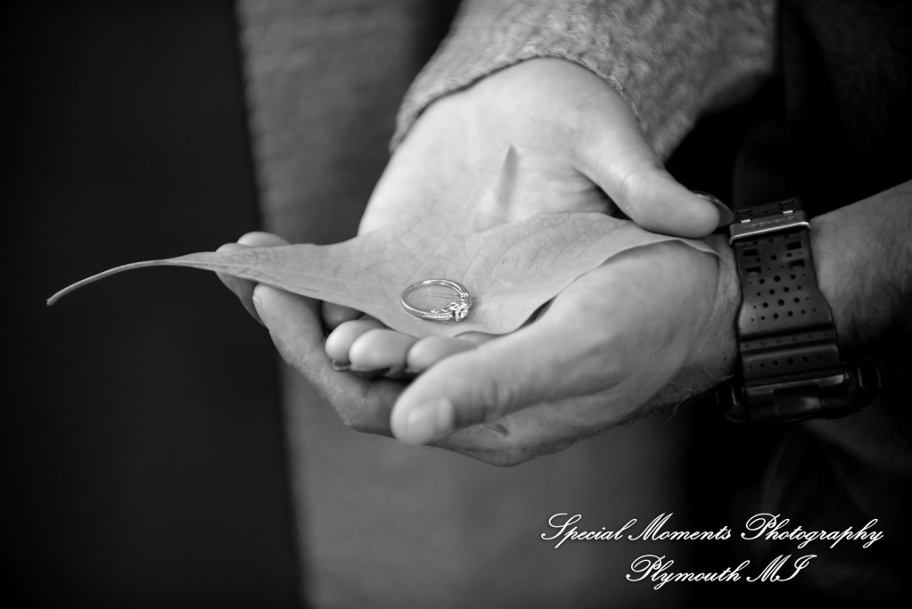Jordan & Matt at Kensington Metropark Milford MI engagement photography