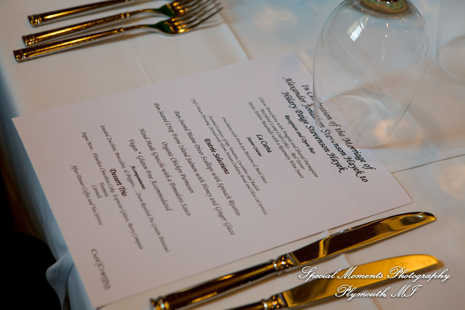 Hillary & Alexander at Cafe Cortina Farmington Hills MI wedding photography