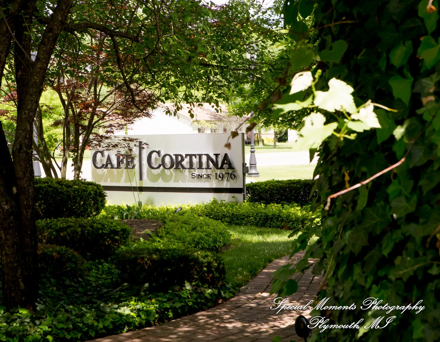 Cafe Cortina Farmington Hills MI wedding photograph