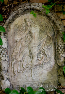 Hillary & Alexander at Cafe Cortina Farmington Hills MI wedding photography