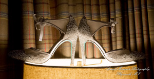 Syri & Carlin at The Graduate Hotel Ann Arbor MI wedding photography