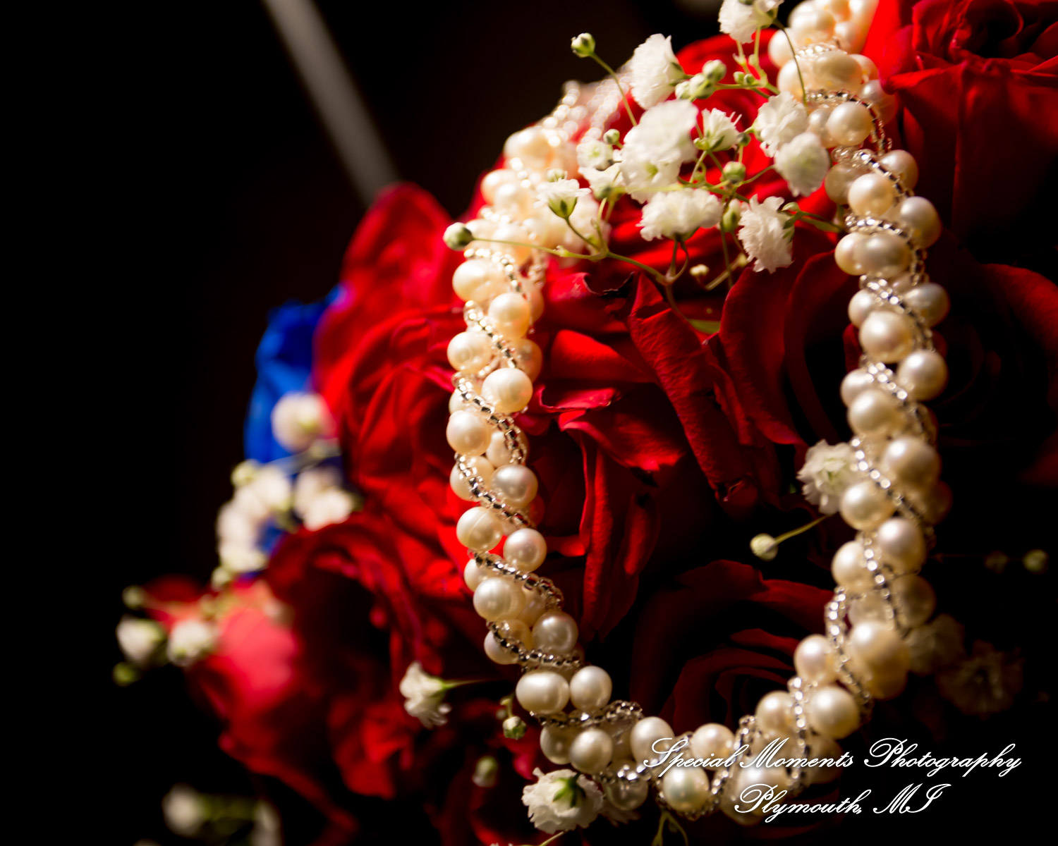 Syri & Carlin at The Graduate Hotel Ann Arbor MI wedding photography