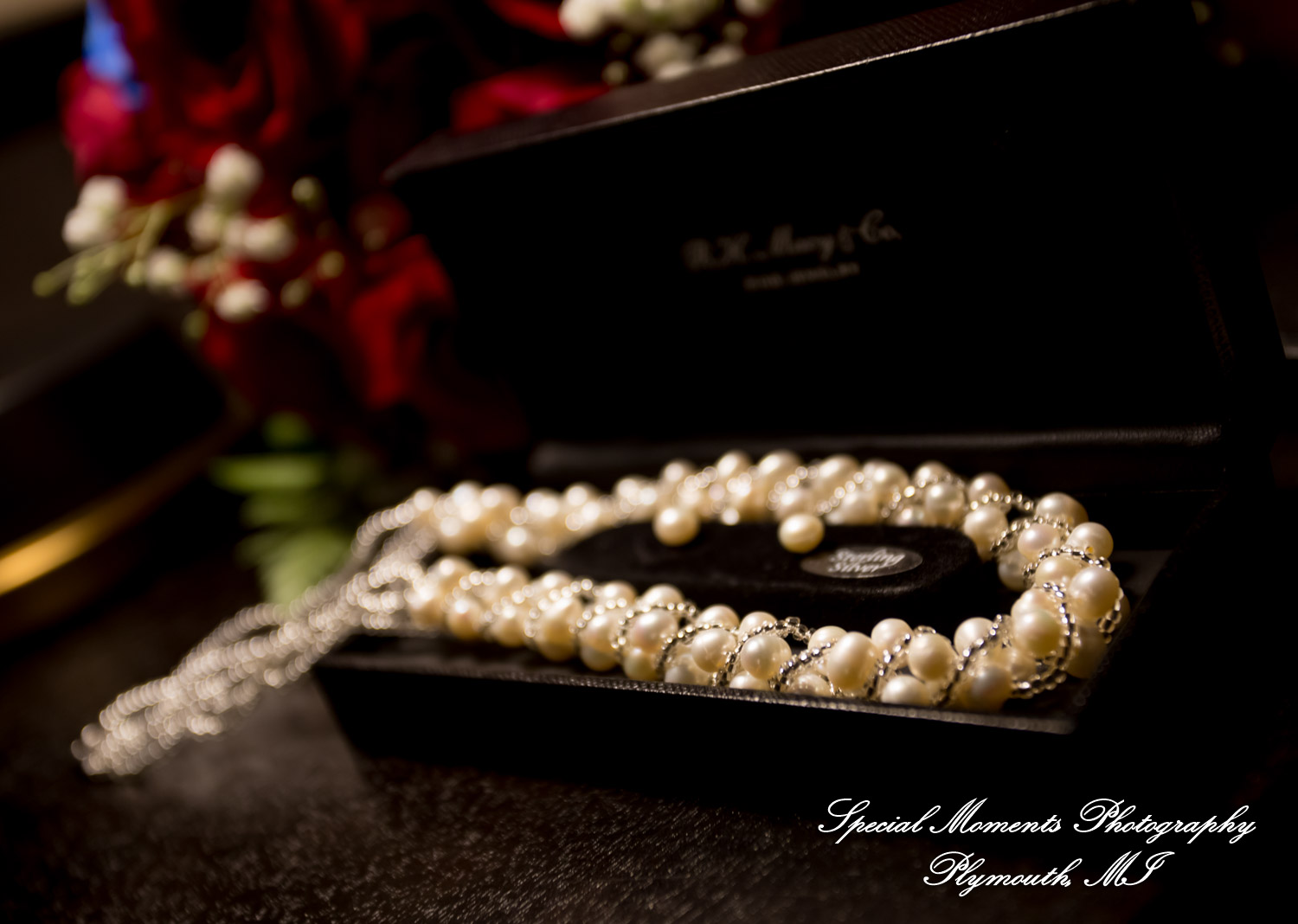 Syri & Carlin at The Graduate Hotel Ann Arbor MI wedding photography