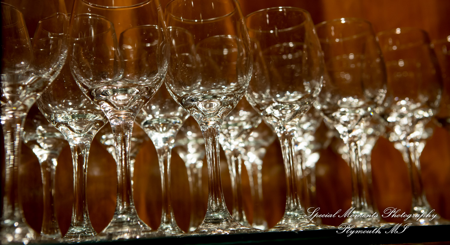 Hillary & Alexander at Cafe Cortina Farmington Hills MI wedding photography