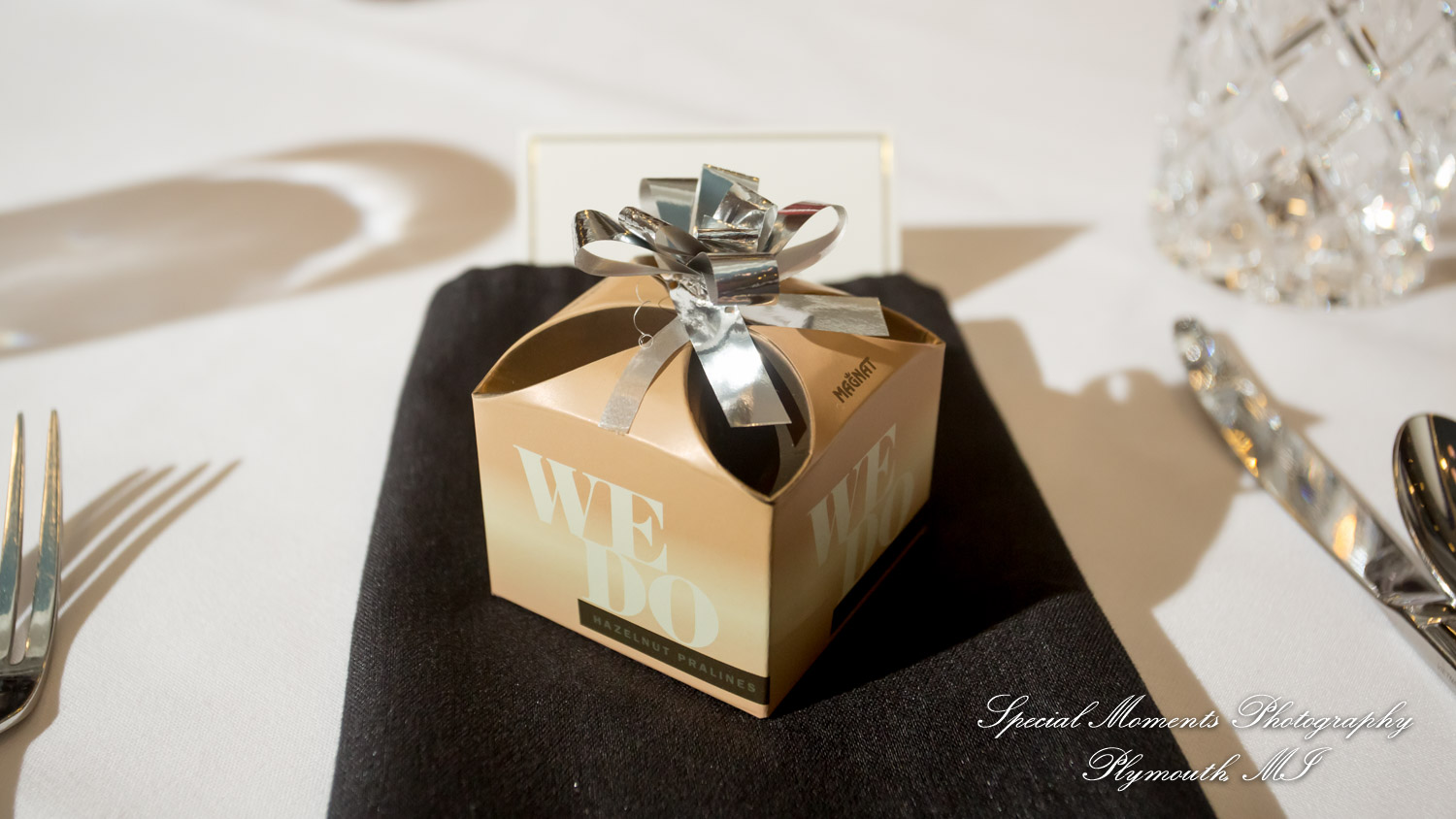 Syri & Carlin at The Graduate Hotel Ann Arbor MI wedding photography