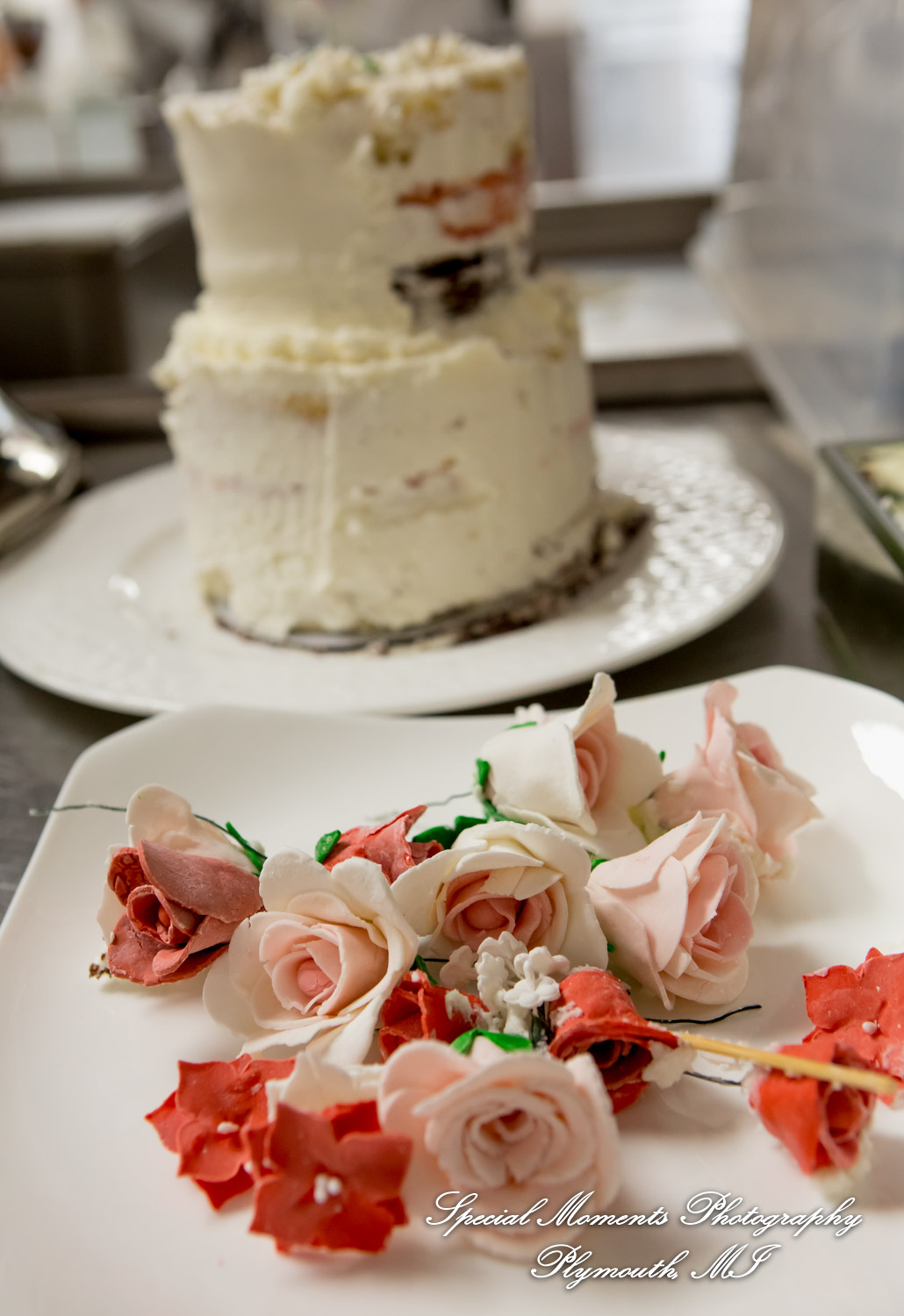 Hillary & Alexander at Cafe Cortina Farmington Hills MI wedding photography