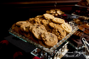 Syri & Carlin at The Graduate Hotel Ann Arbor MI wedding photography