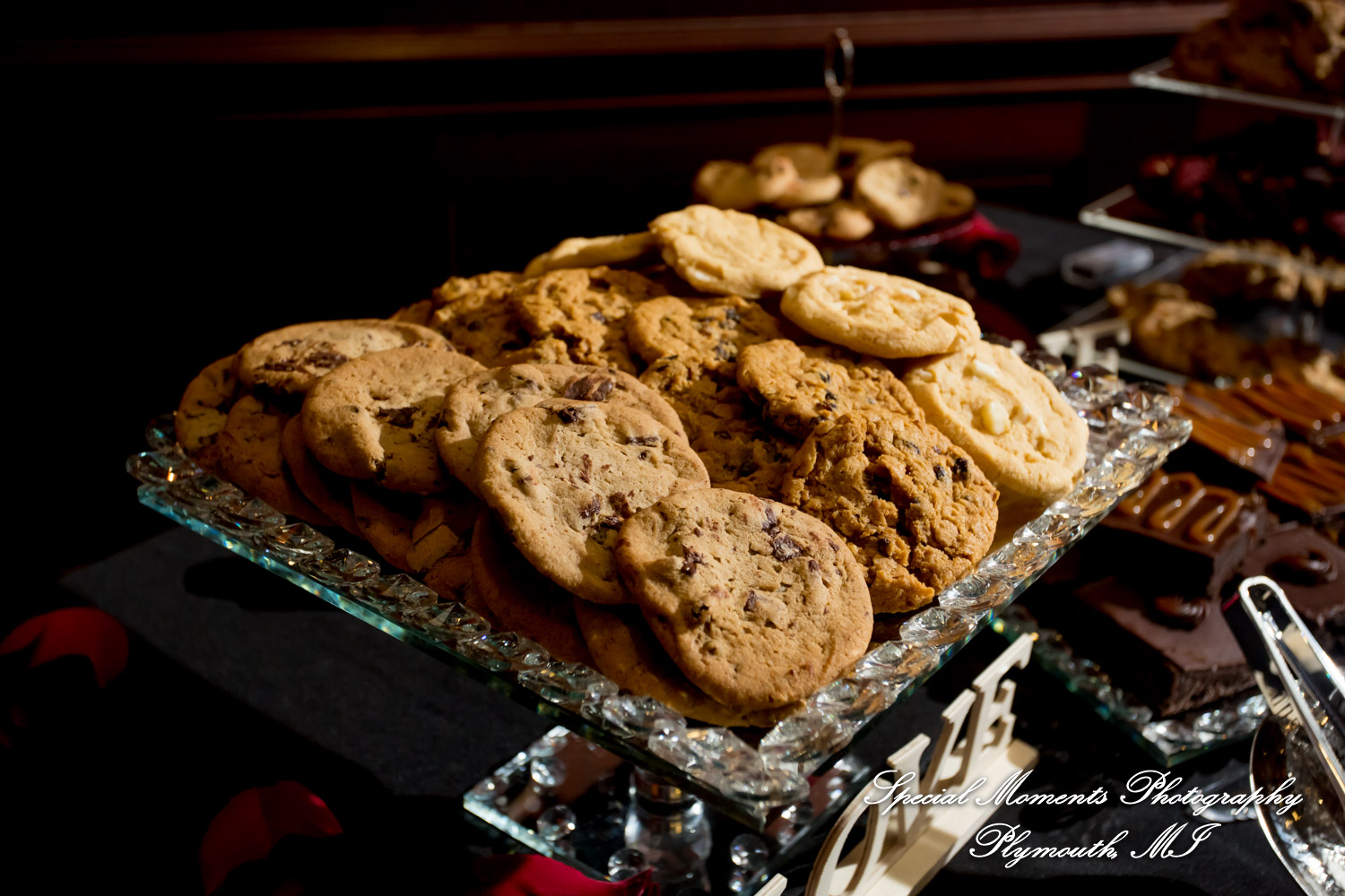 Syri & Carlin at The Graduate Hotel Ann Arbor MI wedding photography