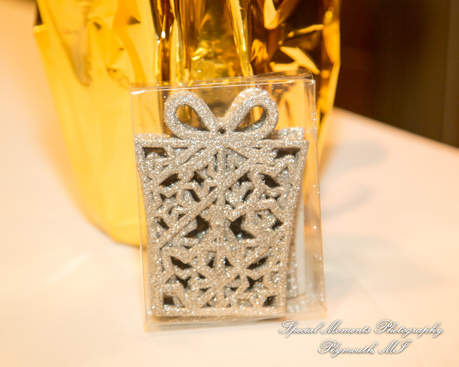 Syri & Carlin at The Graduate Hotel Ann Arbor MI wedding photography