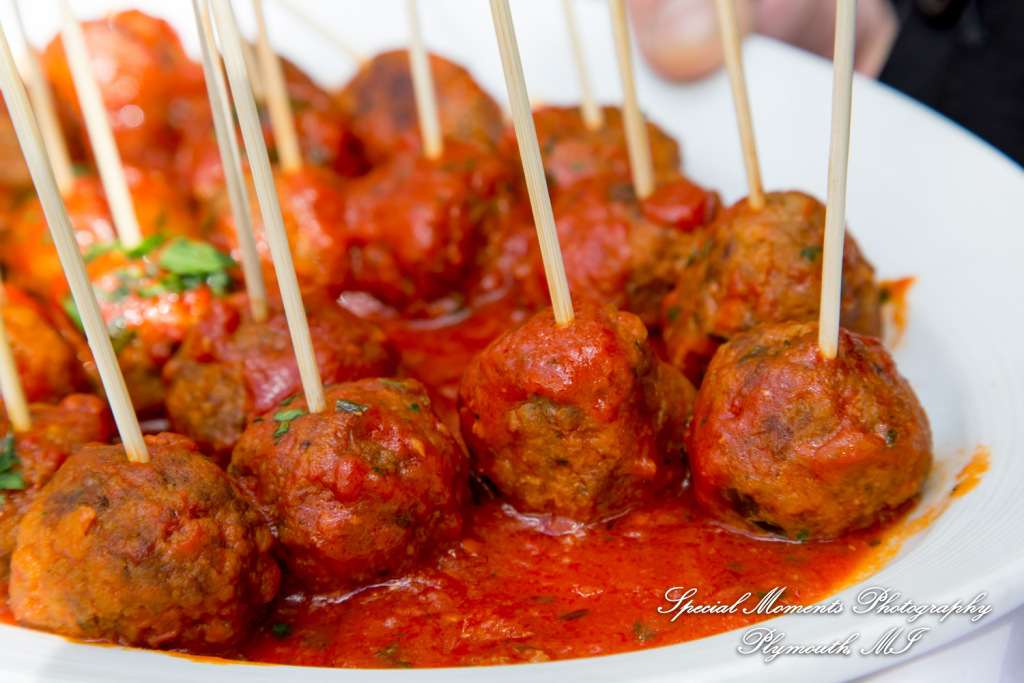 Hillary & Alexander at Cafe Cortina Farmington Hills MI wedding photography