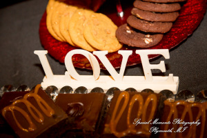 Syri & Carlin at The Graduate Hotel Ann Arbor MI wedding photography