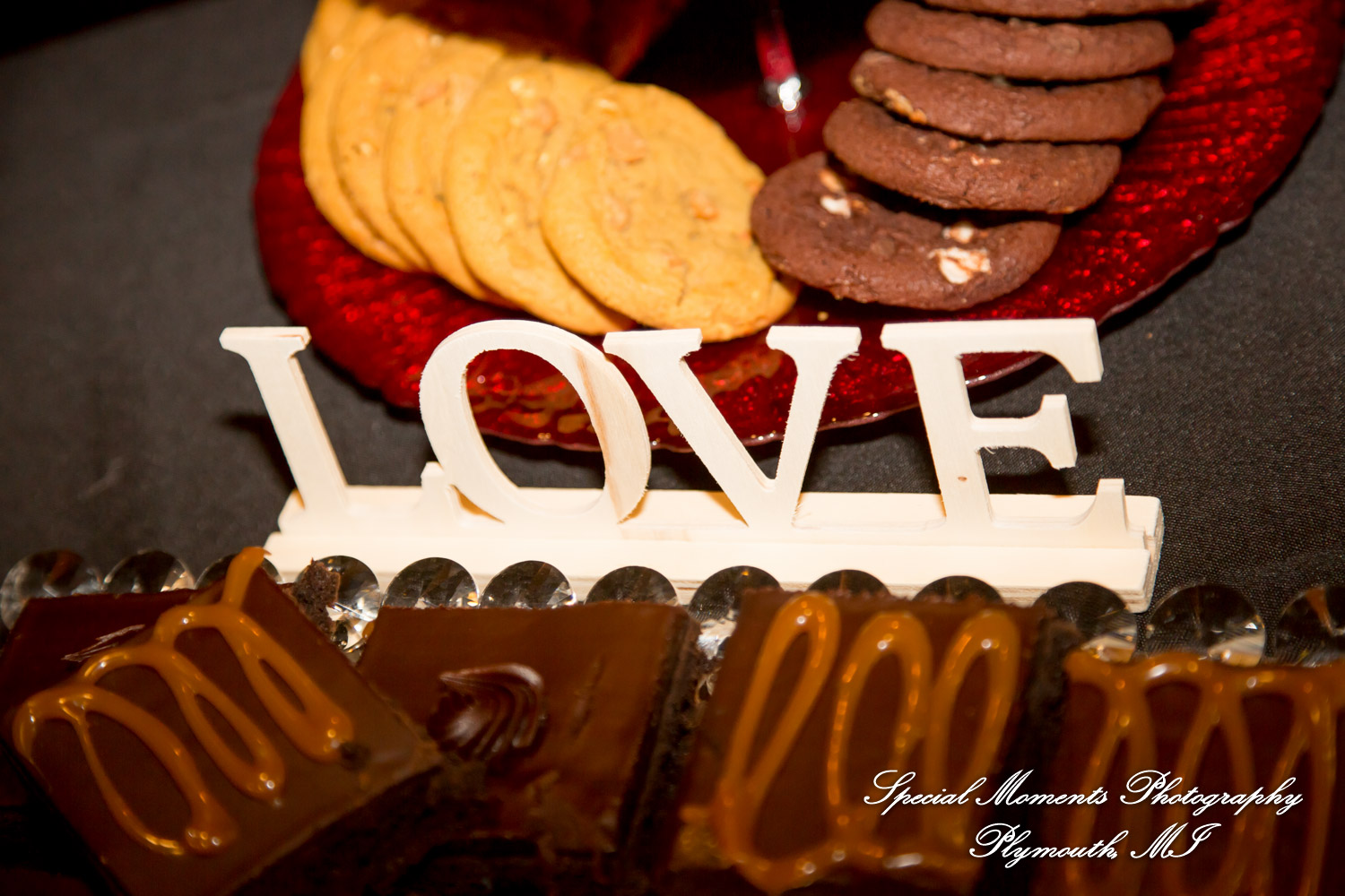 Syri & Carlin at The Graduate Hotel Ann Arbor MI wedding photography
