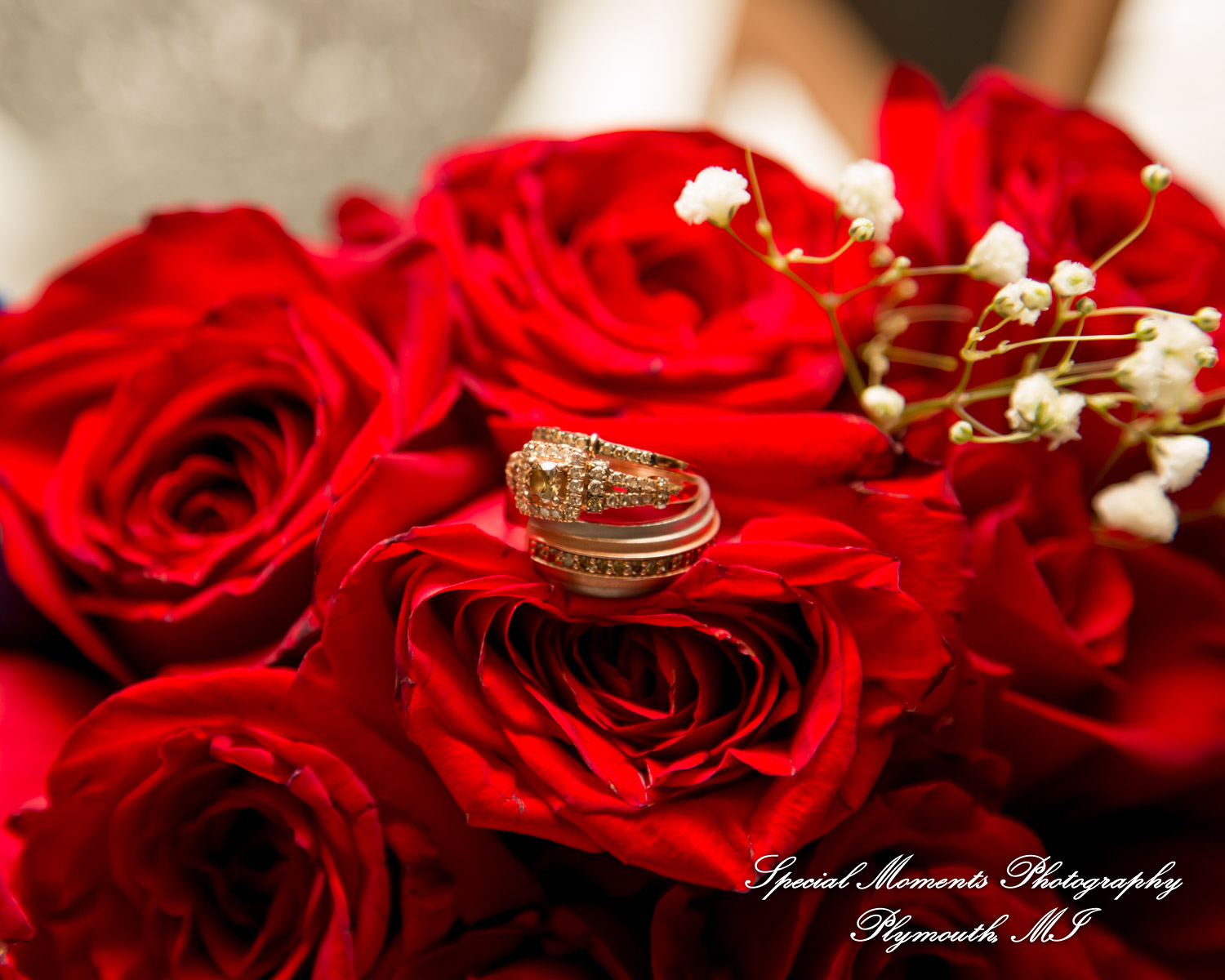 Syri & Carlin at The Graduate Hotel Ann Arbor MI wedding photography