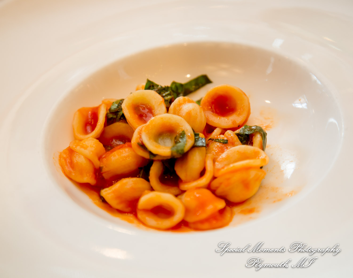 Hillary & Alexander at Cafe Cortina Farmington Hills MI wedding photography