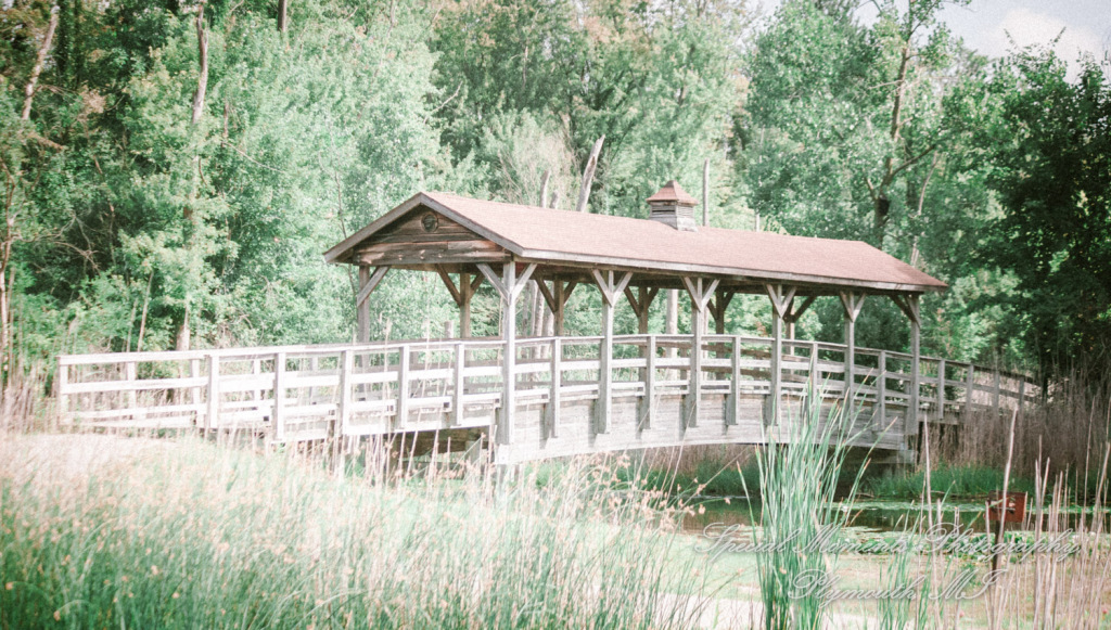 Lisa & Michael at Robert Long Park Commerce MI wedding photography