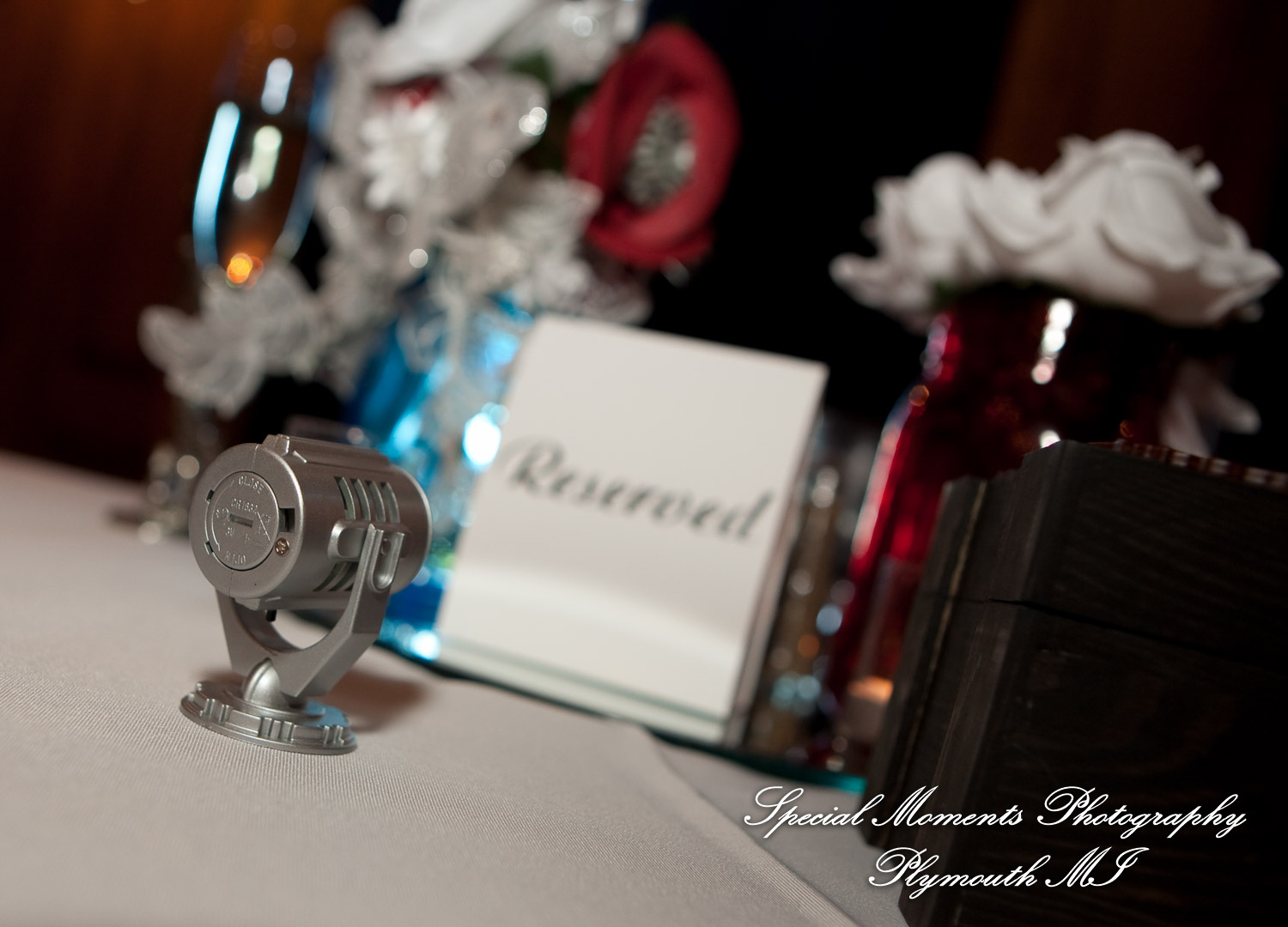 Erynn & Brian at Canterbury Castle Lake Orion MI wedding photograph