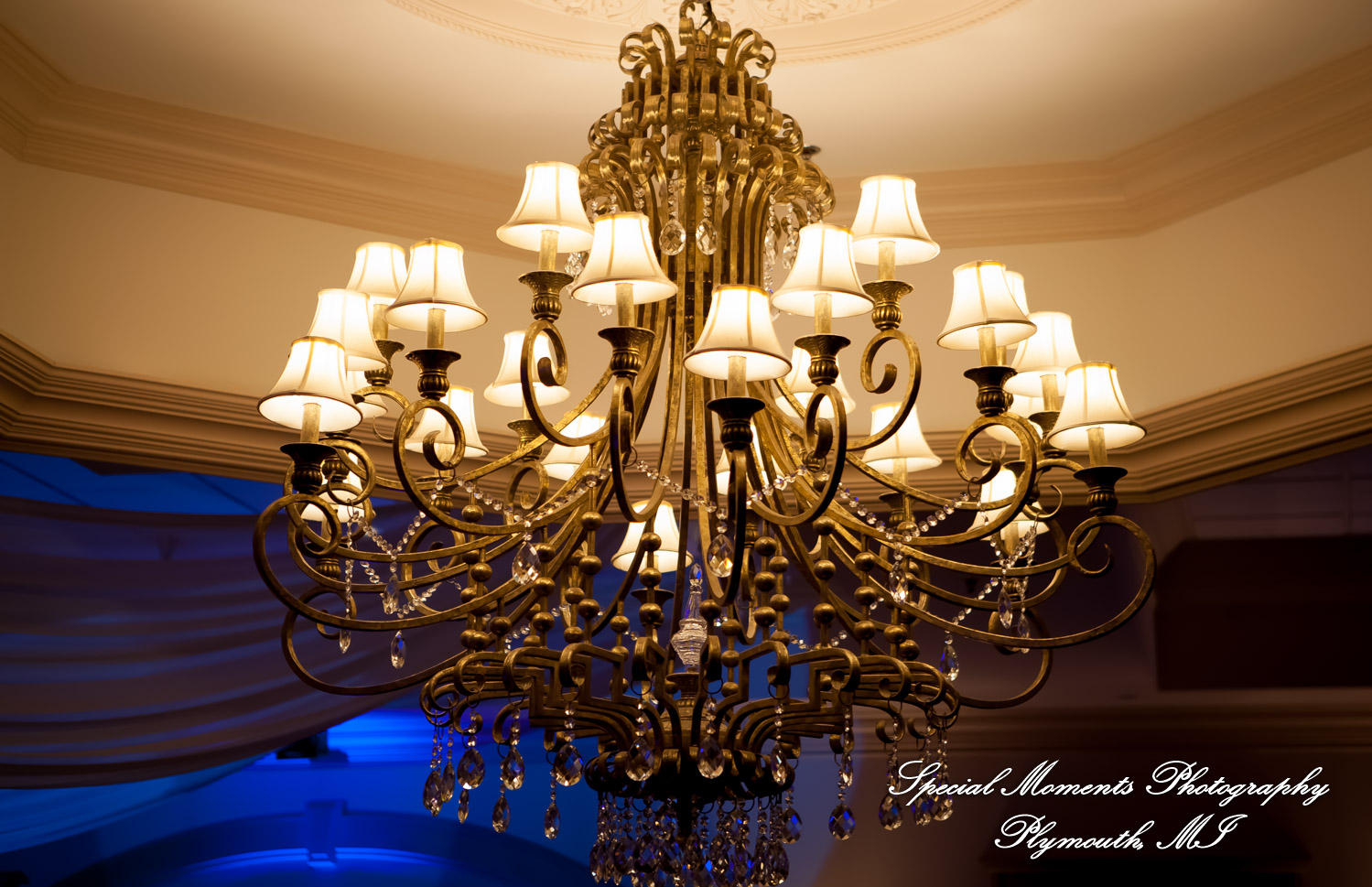 Orawan & Mike at Petruzzello's Banquet & Conference Center Troy MI wedding photography