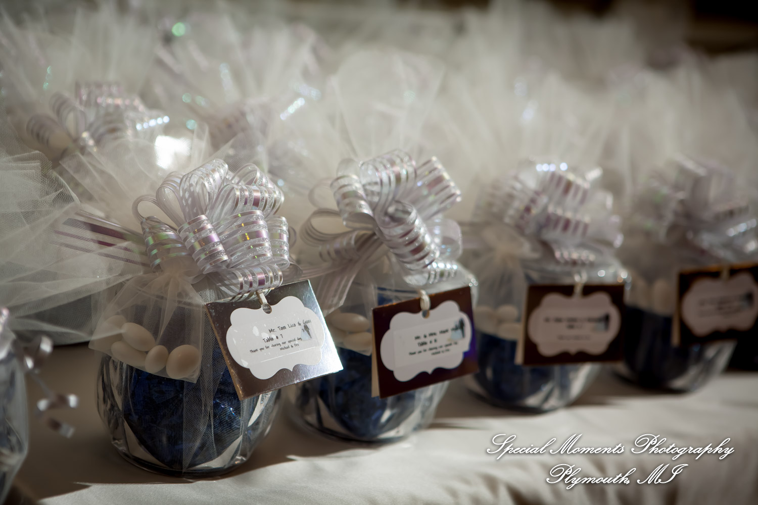 Orawan & Mike at Petruzzello's Banquet & Conference Center Troy MI wedding photography