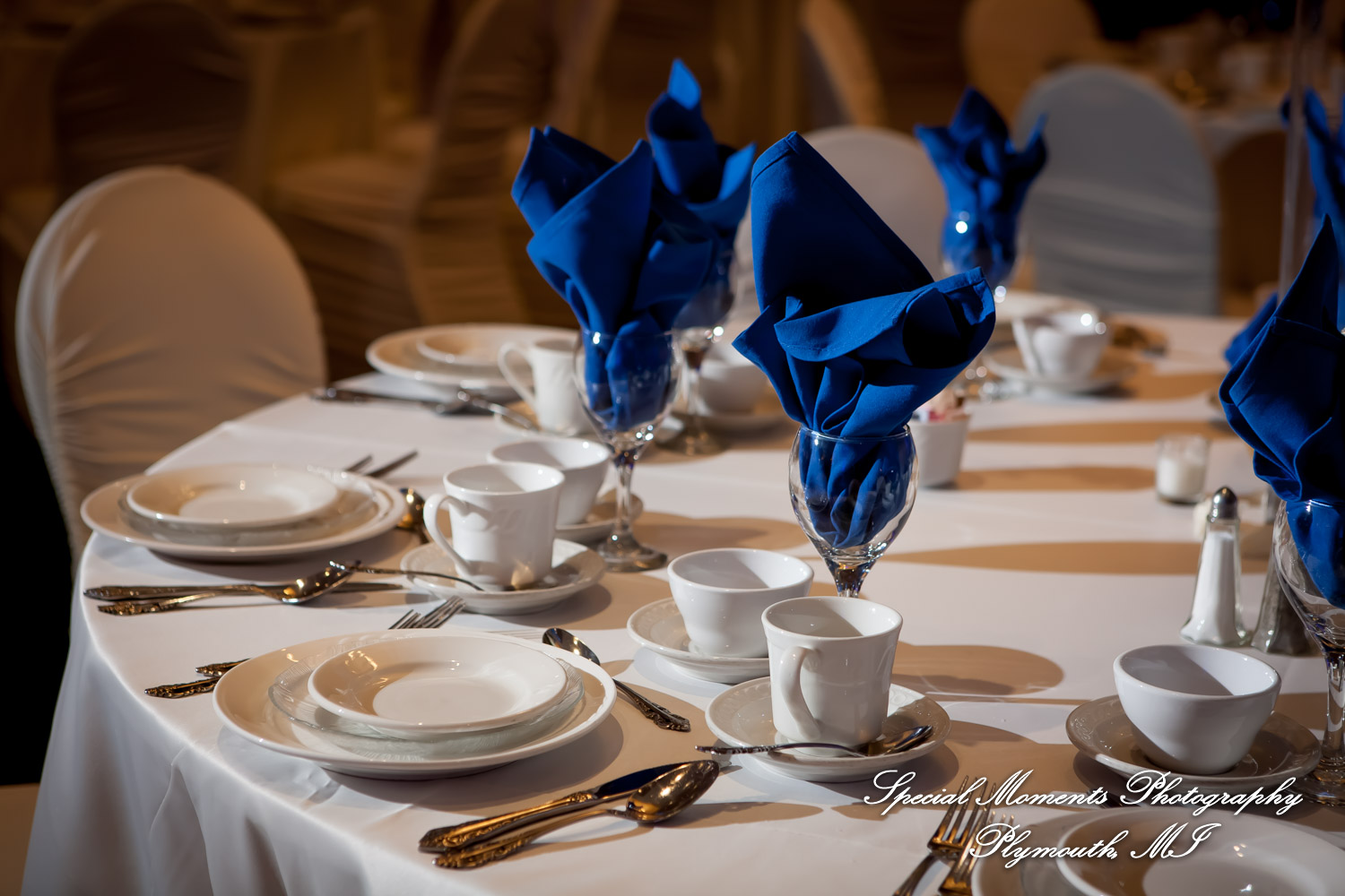 Orawan & Mike at Petruzzello's Banquet & Conference Center Troy MI wedding photography