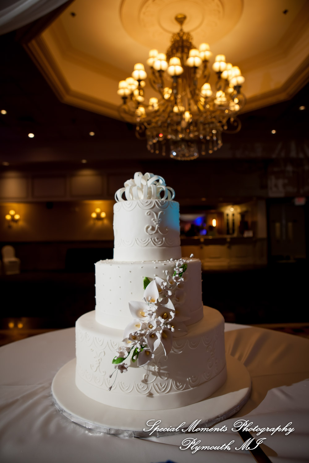 Orawan & Mike at Petruzzello's Banquet & Conference Center Troy MI wedding photography