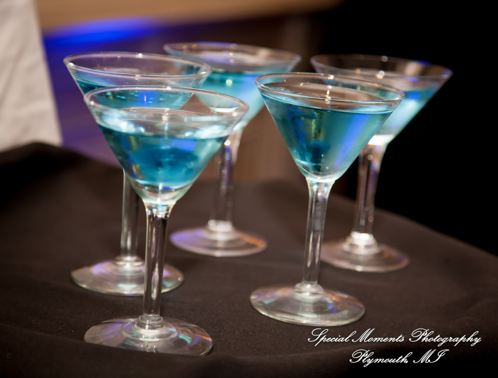 Orawan & Mike at Petruzzello's Banquet & Conference Center Troy MI wedding photography