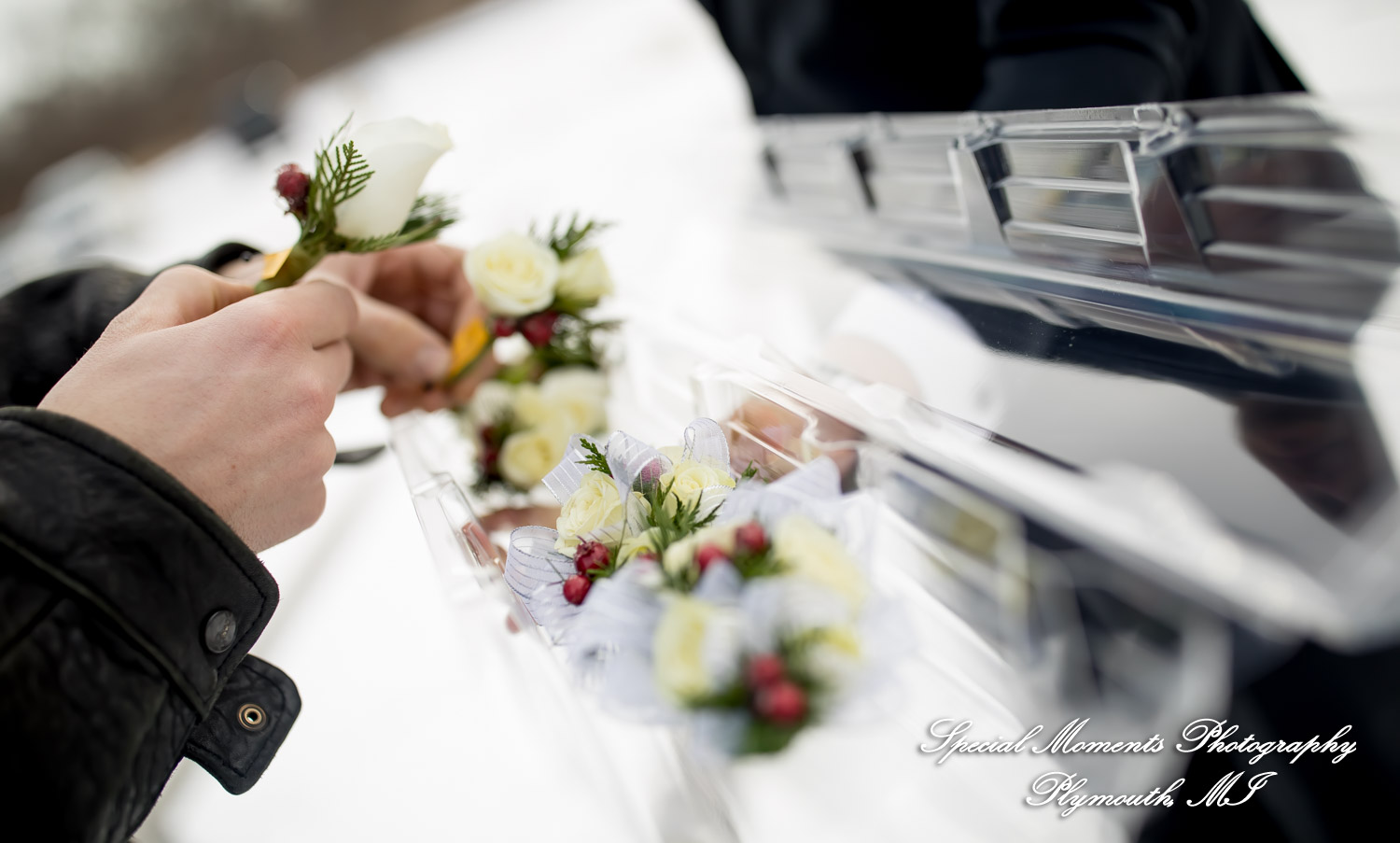 Tahlene & Andrew at Henry Ford Estate Dearborn MI wedding photography