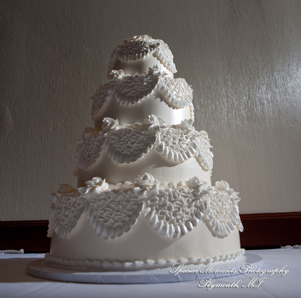 Mary Ann & Kevin at Park Place Caterers Dearborn MI wedding photograph