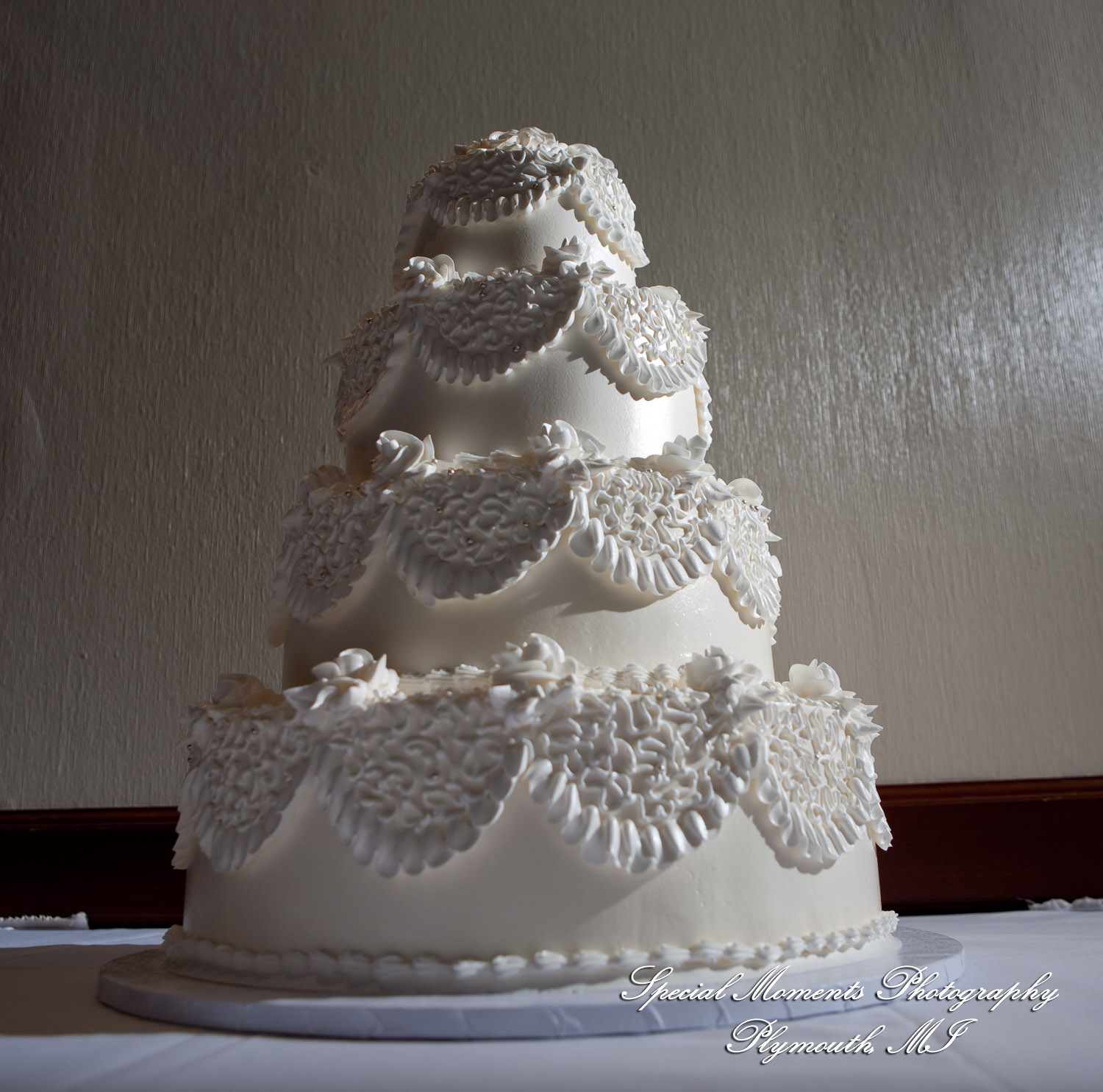 Mary Ann & Kevin at Park Place Caterers Dearborn MI wedding photograph