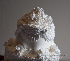 Mary Ann & Kevin at Park Place Caterers Dearborn MI wedding photograph