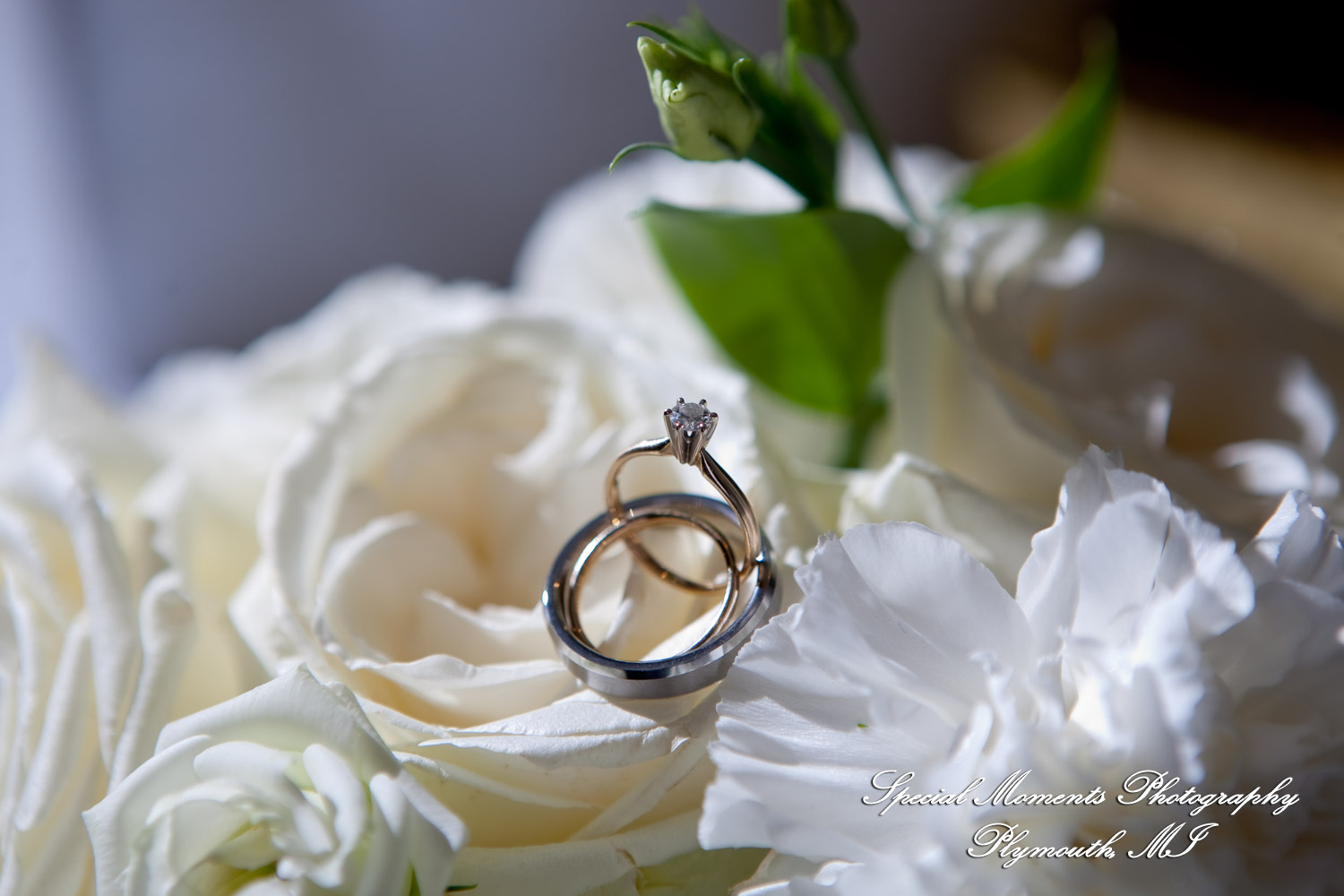 Mary Ann & Kevin at Park Place Caterers Dearborn MI wedding photograph