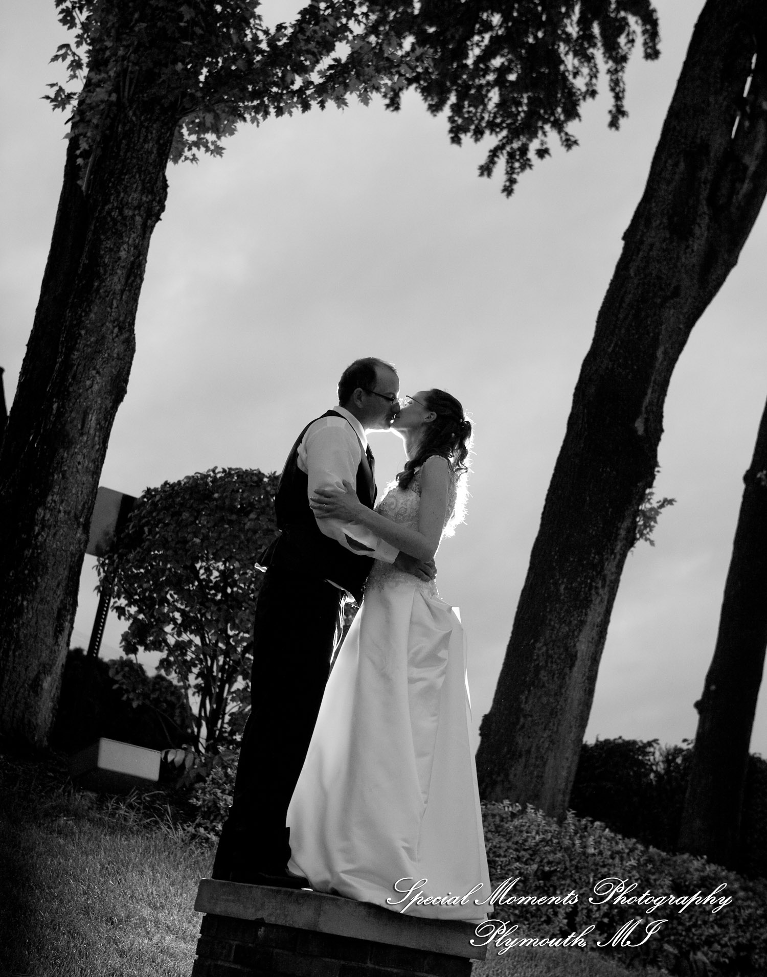 Mary Ann & Kevin at Park Place Caterers Dearborn MI wedding photograph