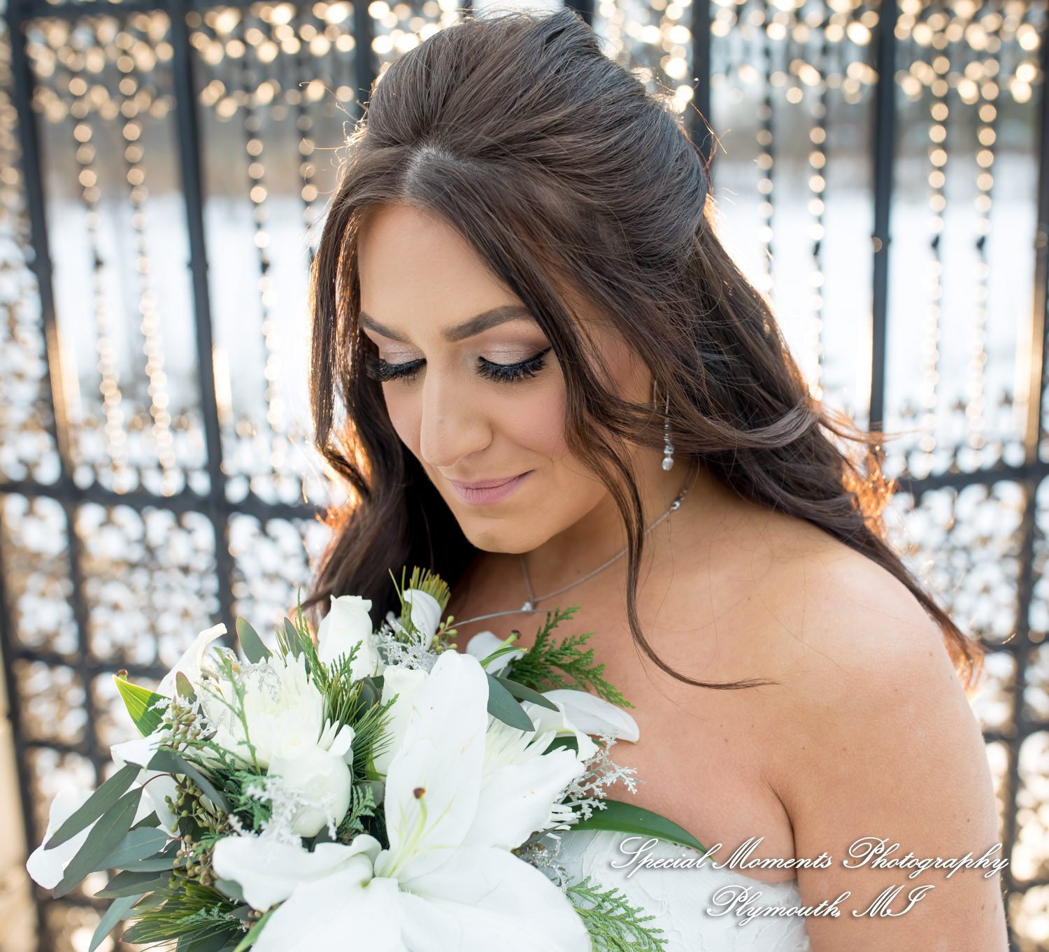 Tahlene & Andrew at Henry Ford Estate Dearborn MI wedding photography