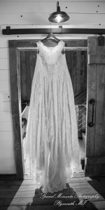 Mike & Jess at Westers Family Vineyard & Winery Rives Junction MI wedding photograph