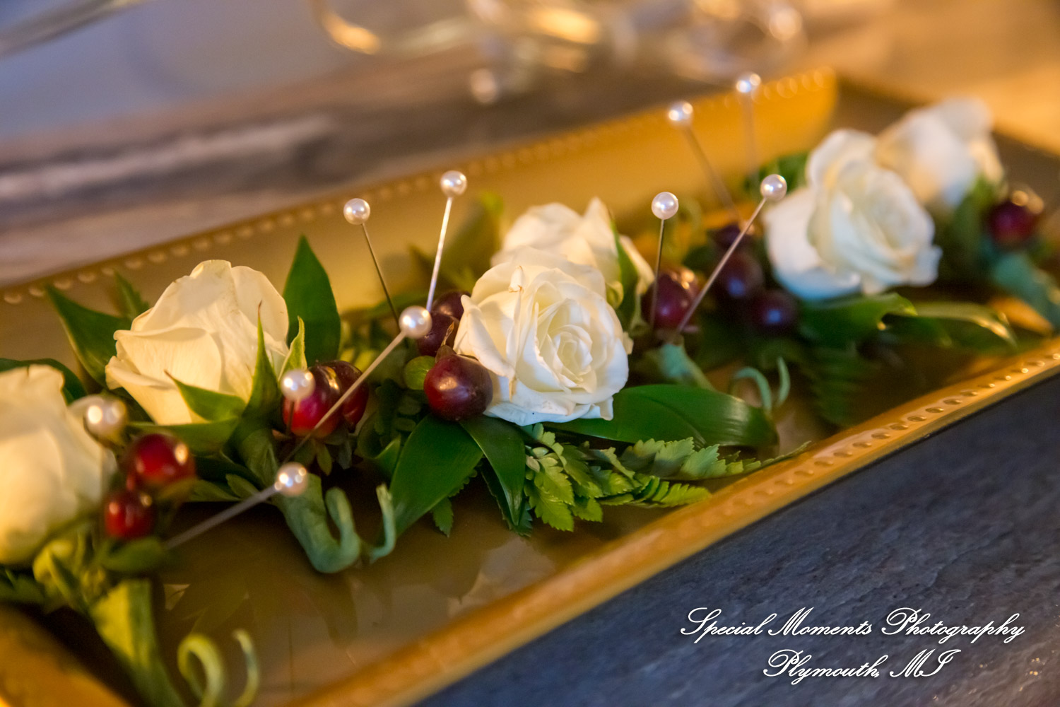 Mike & Jess at Westers Family Vineyard & Winery Rives Junction MI wedding photograph