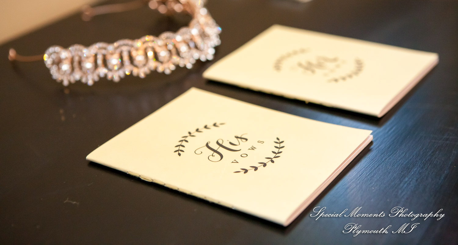 Mike & Jess at Westers Family Vineyard & Winery Rives Junction MI wedding photograph