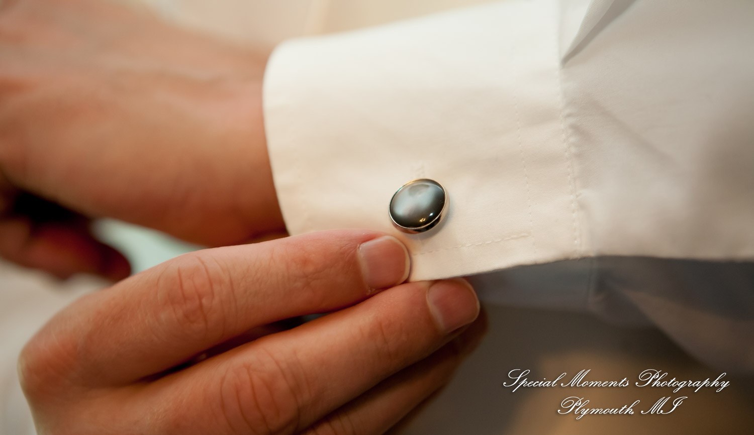 Mike & Jess at Westers Family Vineyard & Winery Rives Junction MI wedding photograph