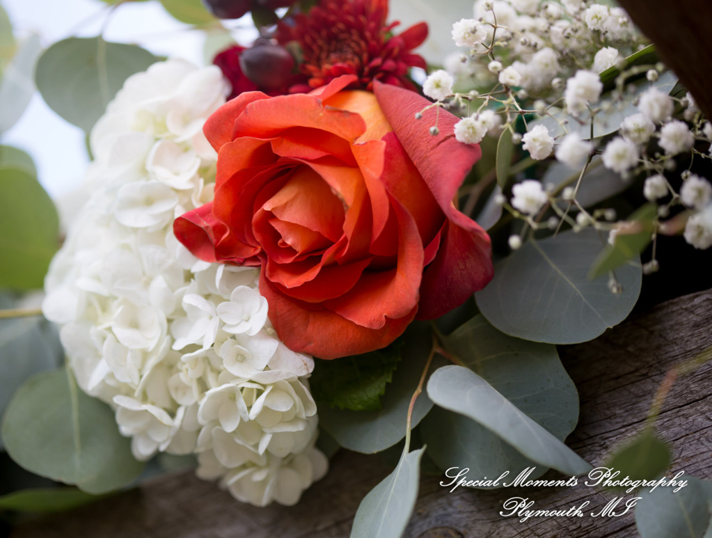 Mike & Jess at Westers Family Vineyard & Winery Rives Junction MI wedding photograph