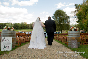 Mike & Jess at Westers Family Vineyard & Winery Rives Junction MI wedding photograph