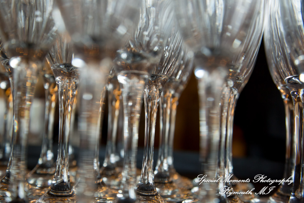 Mike & Jess at Westers Family Vineyard & Winery Rives Junction MI wedding photograph