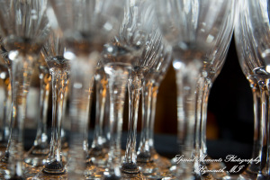 Mike & Jess at Westers Family Vineyard & Winery Rives Junction MI wedding photograph