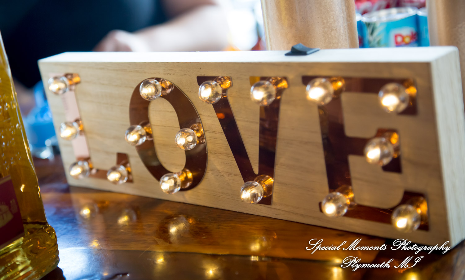 Mike & Jess at Westers Family Vineyard & Winery Rives Junction MI wedding photograph
