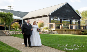 Mike & Jess at Westers Family Vineyard & Winery Rives Junction MI wedding photograph