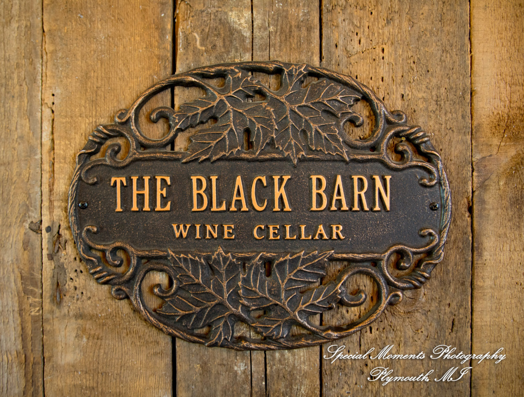 Mike & Jess at Westers Family Vineyard & Winery Rives Junction MI wedding photograph