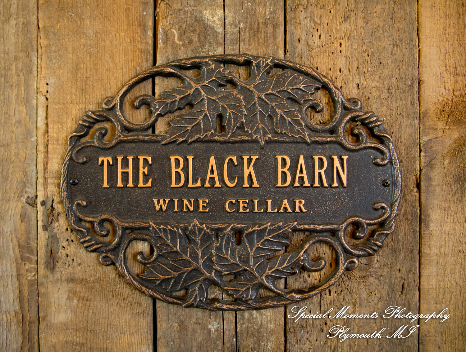 Mike & Jess at Westers Family Vineyard & Winery Rives Junction MI wedding photograph