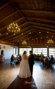 Mike & Jess at Westers Family Vineyard & Winery Rives Junction MI wedding photograph