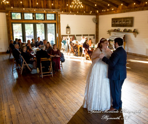 Mike & Jess at Westers Family Vineyard & Winery Rives Junction MI wedding photograph
