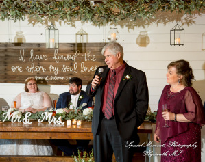 Mike & Jess at Westers Family Vineyard & Winery Rives Junction MI wedding photograph