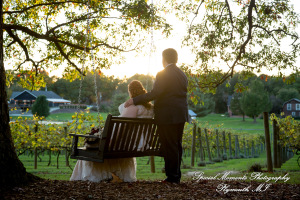 Mike & Jess at Westers Family Vineyard & Winery Rives Junction MI wedding photograph